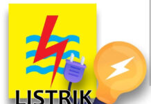 Listrik Jakarta Berulangkali Padam, IWO: Dirut PLN Tak Kenal Budaya Mundur, Harus Dicopot dan Diperiksa!