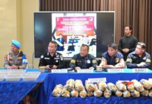 Polda Sumsel Bongkar Sindikat Ladang Ganja 20 Hektar di Empat Lawang, 220 Kg Ganja Disita